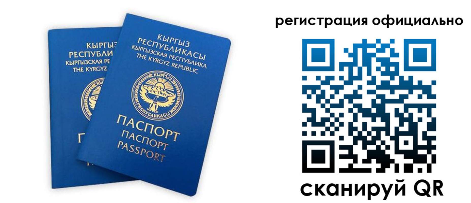 прописка поиск в Алагире